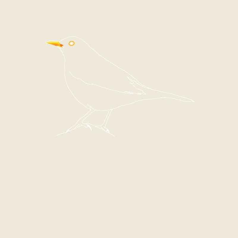 Amsel