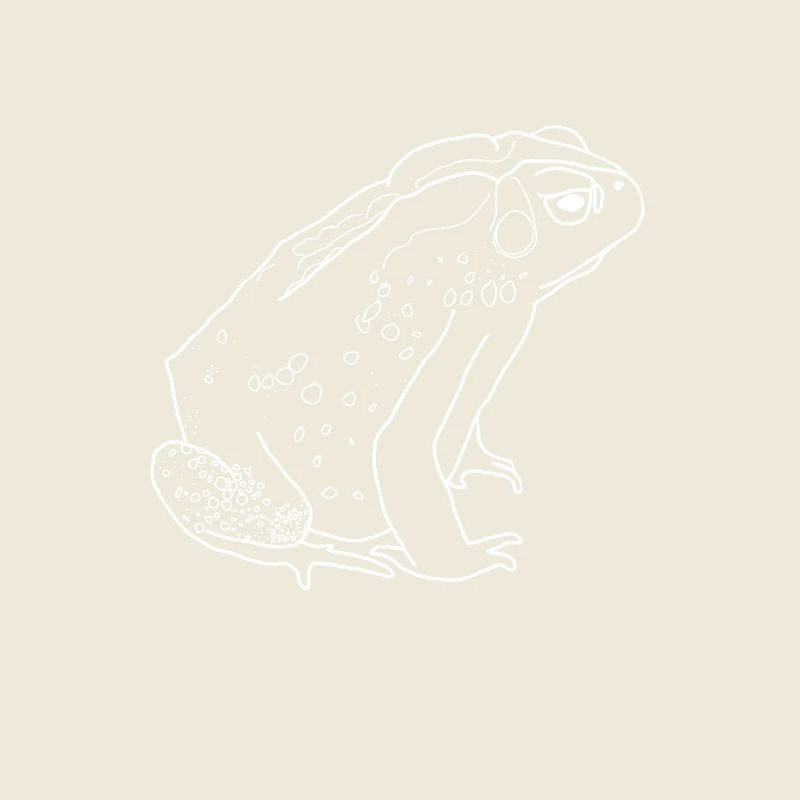 crapaud