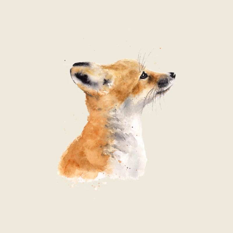 Renard