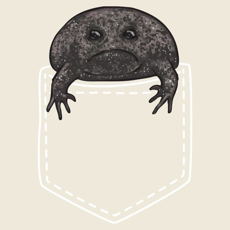 Black Rain Frog Breviceps Fuscus Frog