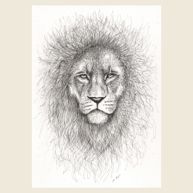 Very serious lion