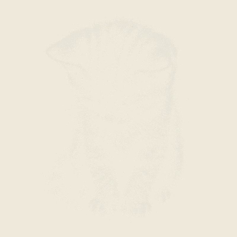 Trauriges Kätzchen Katze Süß Niedlich Kunst