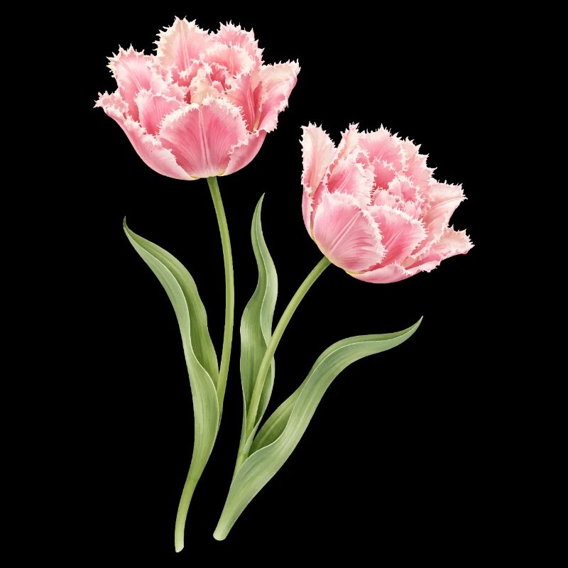 Rosa Papagei Tulpen Blumenmotiv 
