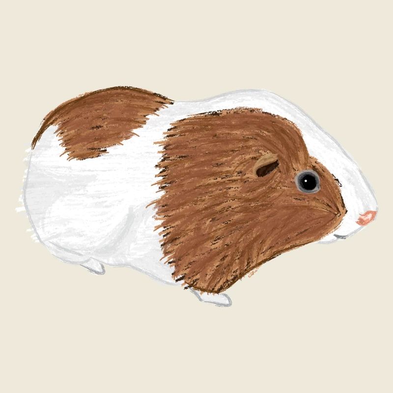 Design mit einem Glatthaar-Meerschweinchen 3