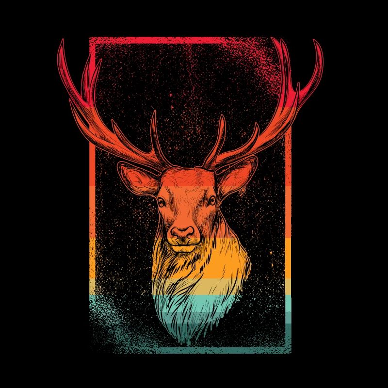 Deer Antler Deer Head Deer Wild