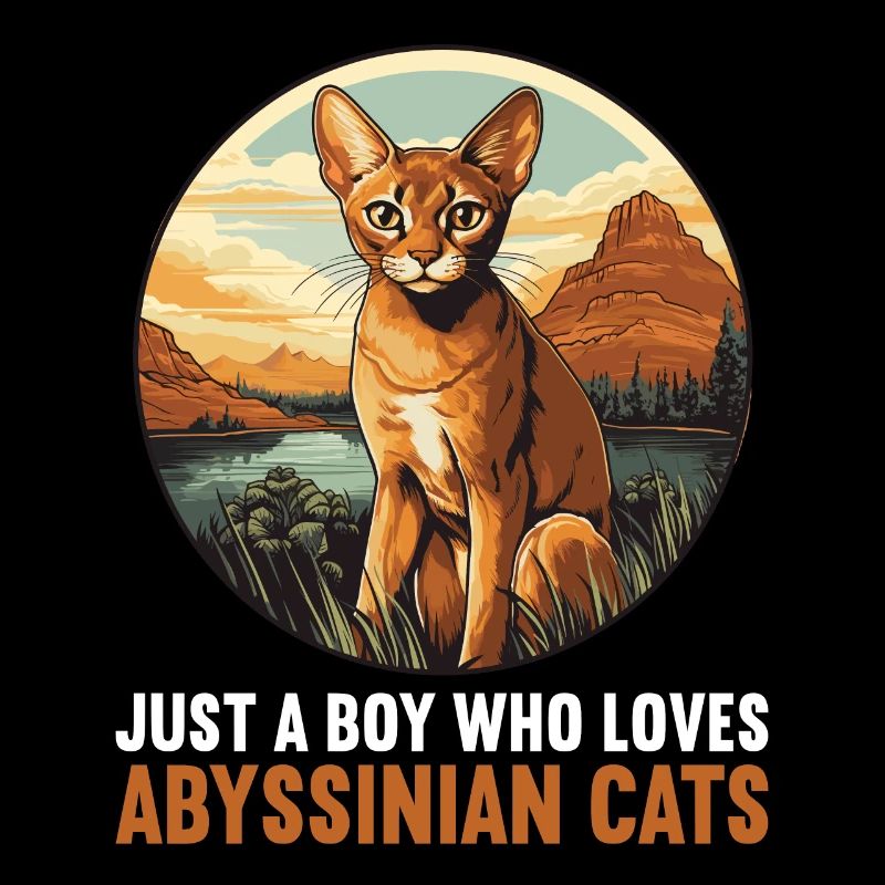 Abyssinian Cat Abessinierkatze