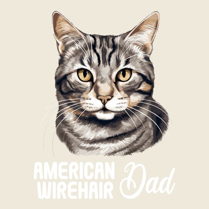 Chat Chats American Wirehair