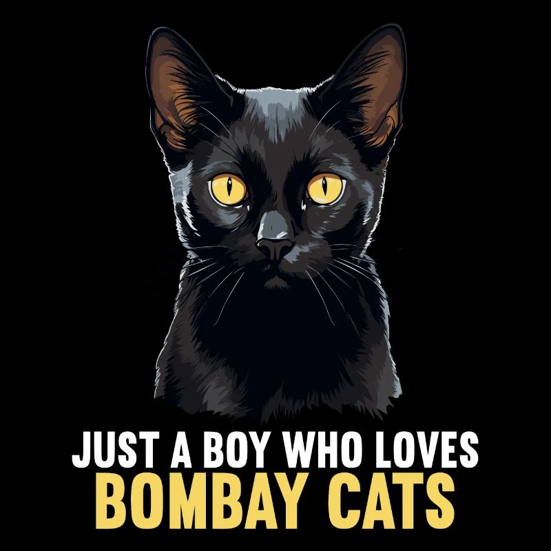 Chat de Bombay Bombay Katze