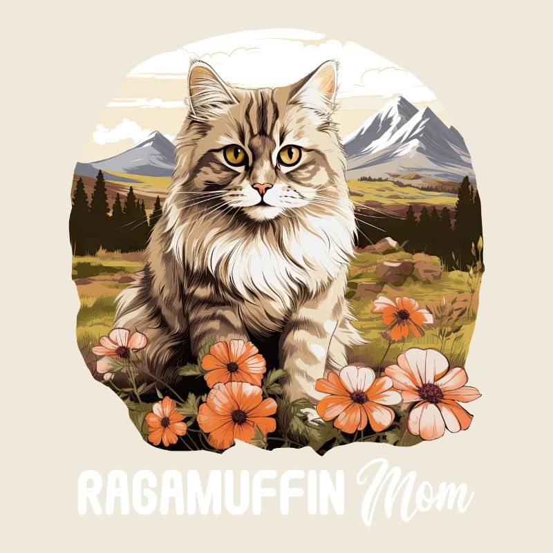 Ragamuffin Kätzchen Ragamuffin Katze