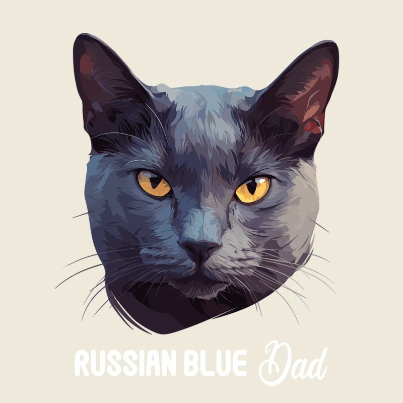 Chat bleu russe Russisch Blau Katze