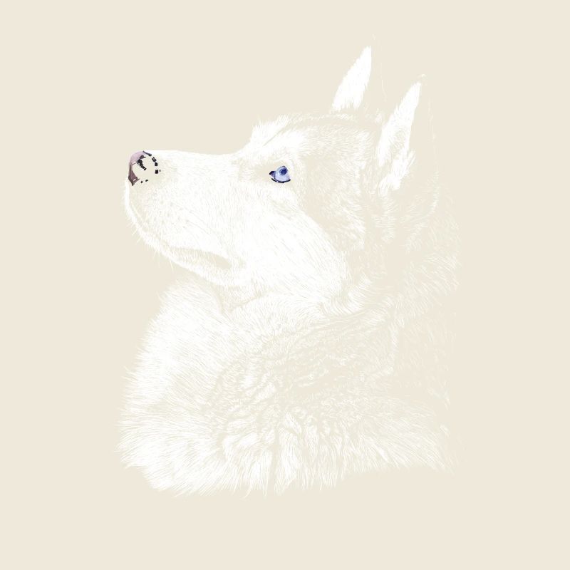 husky