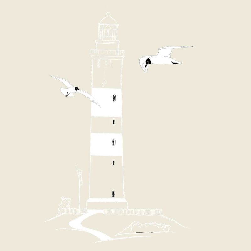Leuchtturm von Amrum mit Möwen