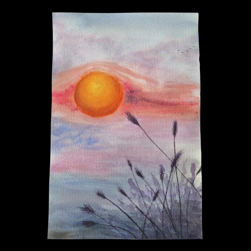 Sunset Over Meadow Wildflowers Grass Wheat