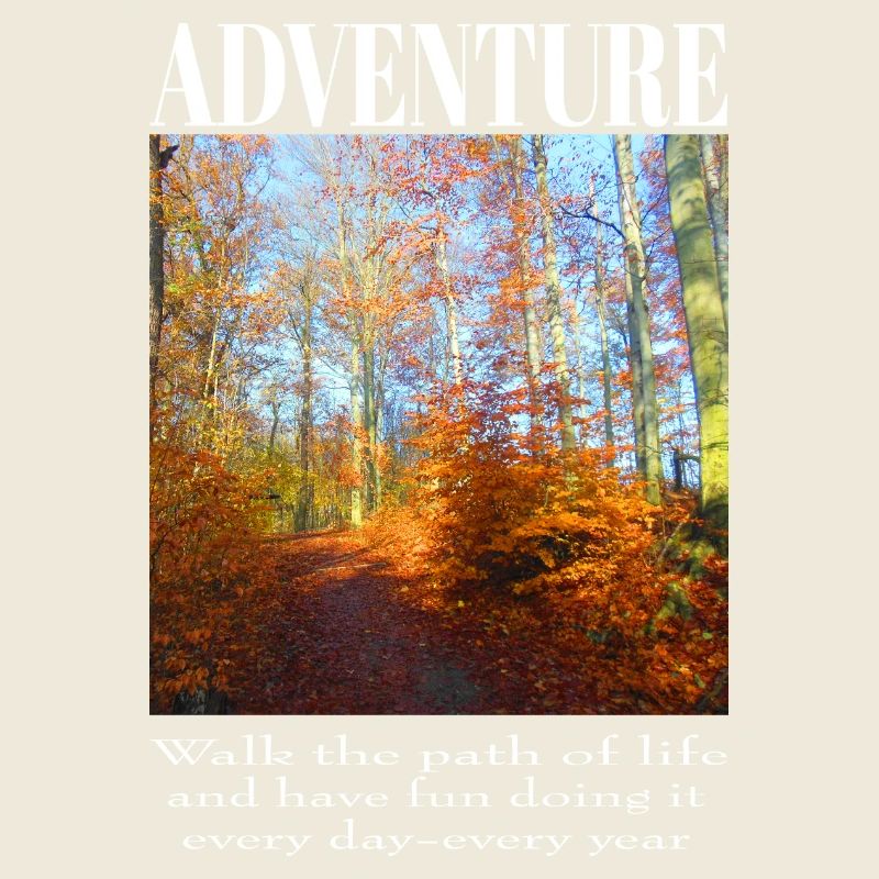 Abenteuer - Weg durch den Herbstwald