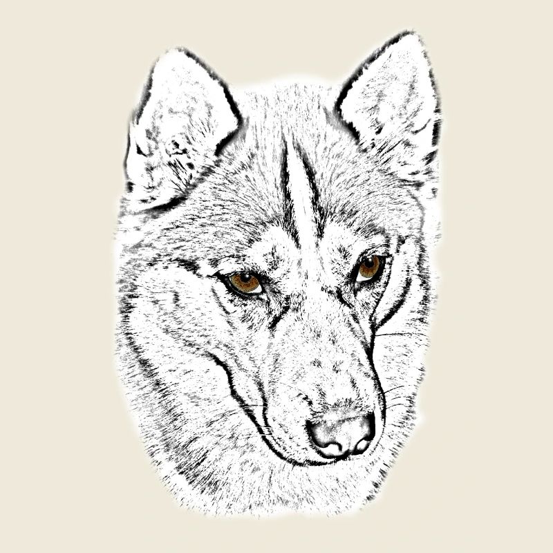 Wolfskopf Line Study