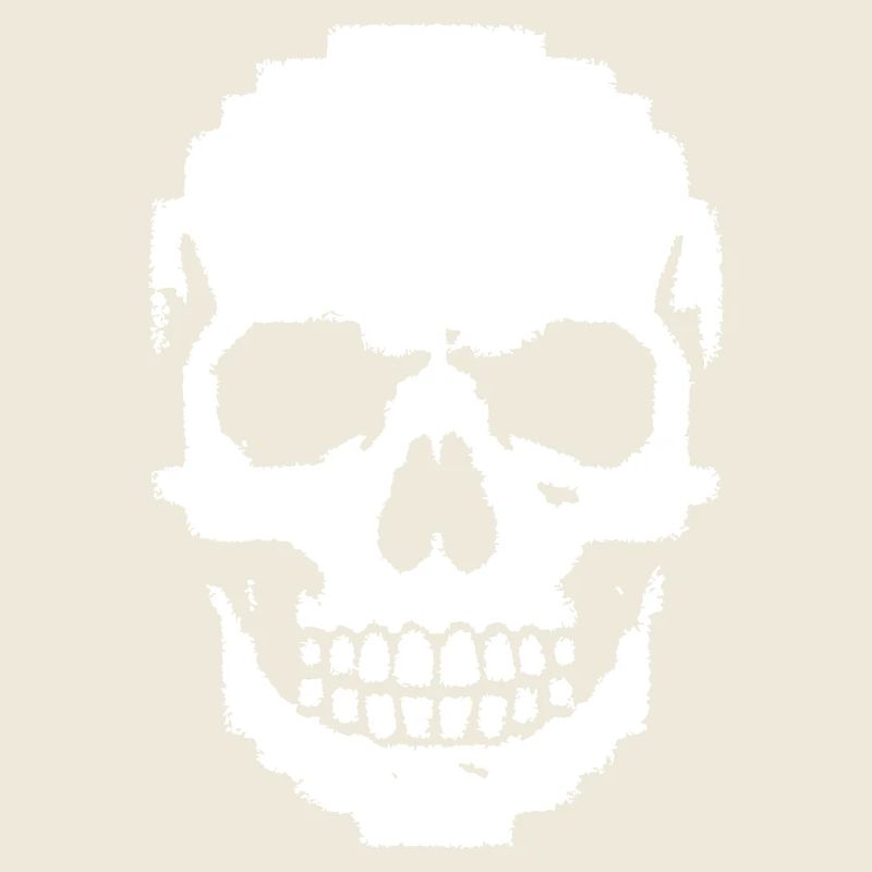 Totenkopf Schädel Pixel Art