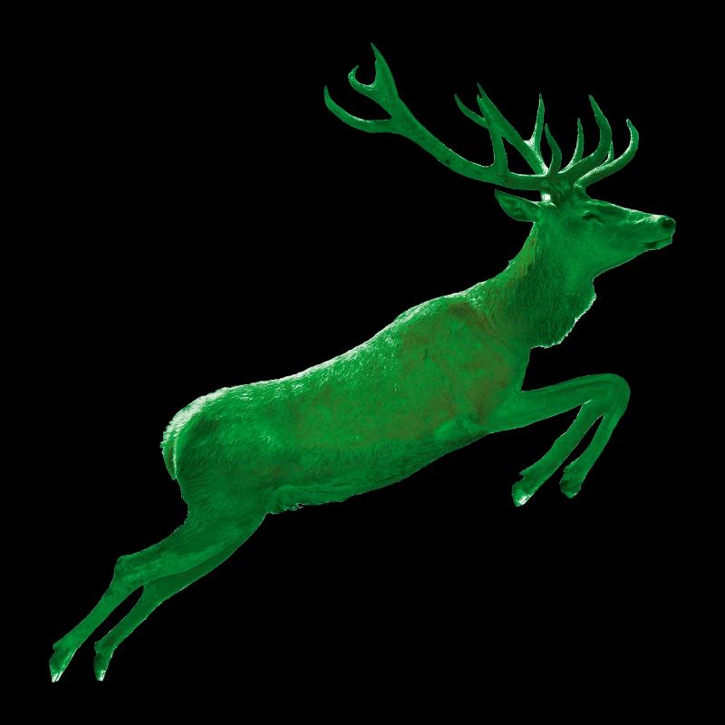 Le cerf saute dans le vert