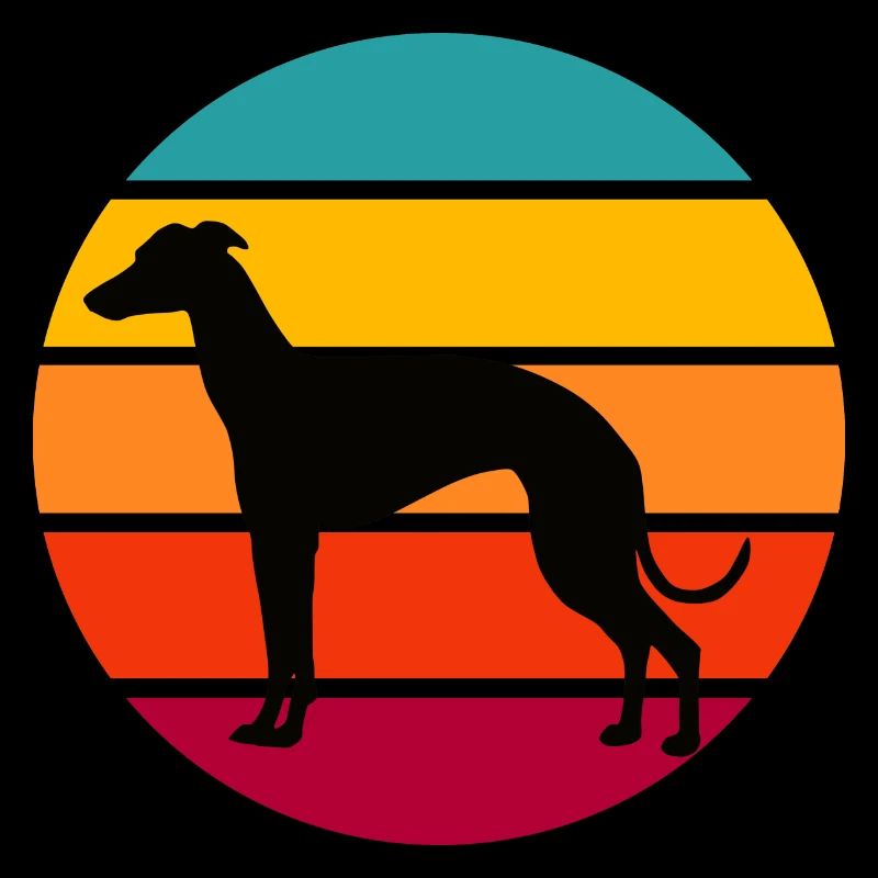 Greyhound rétro de coucher du soleil