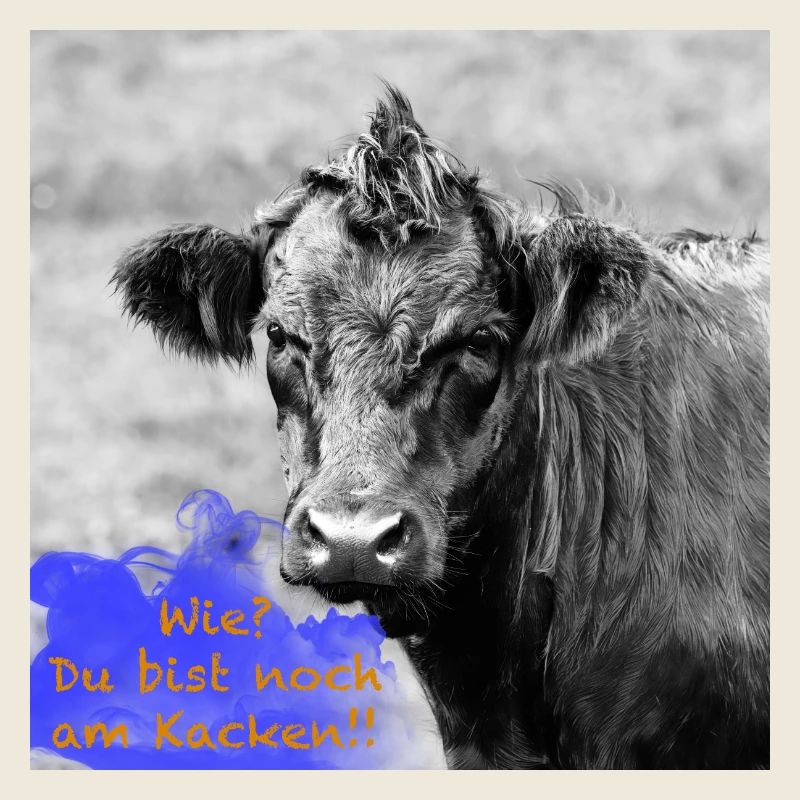 Rind mit lustigem Spruch