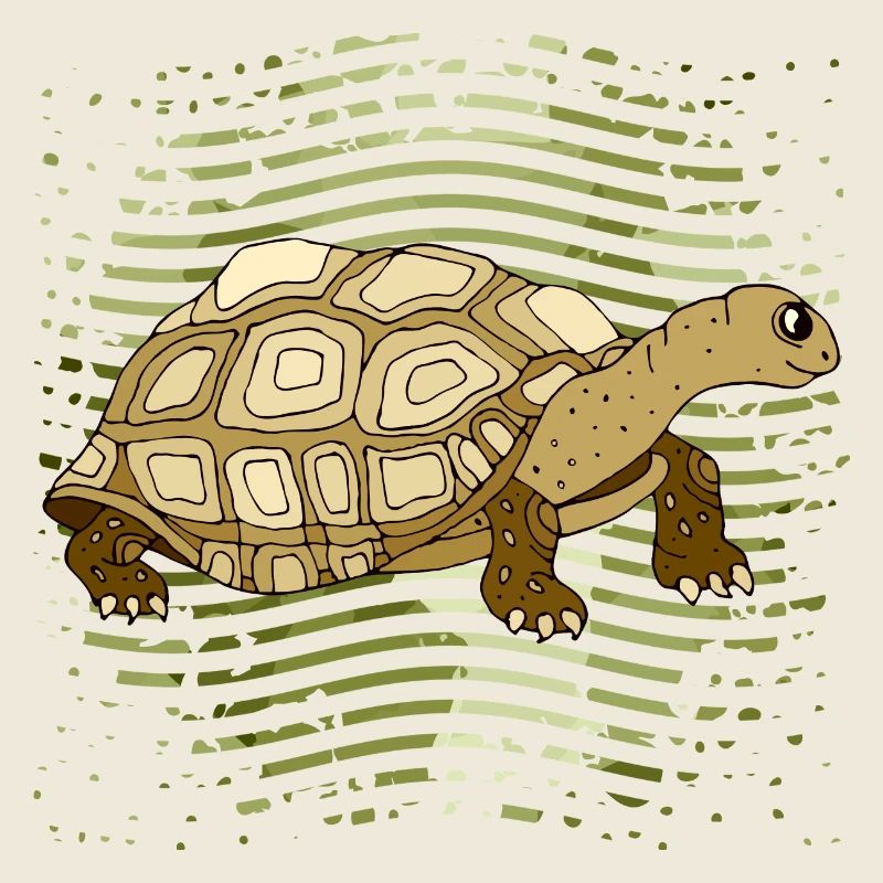 Tortoise