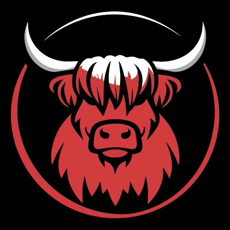 My Highlands cattle I love Highlands