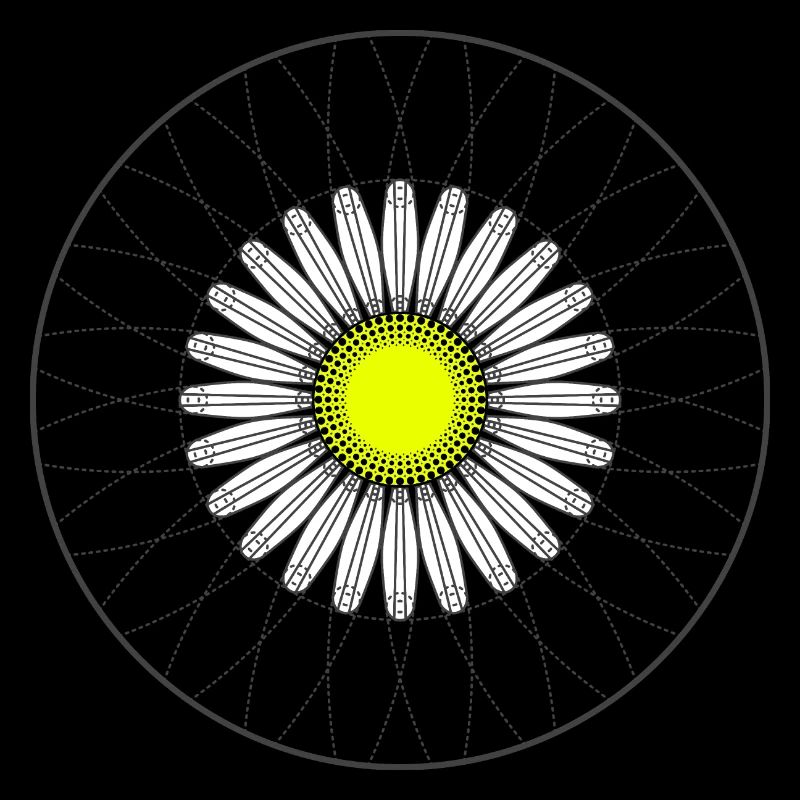 Gänseblümchen - Dunkel