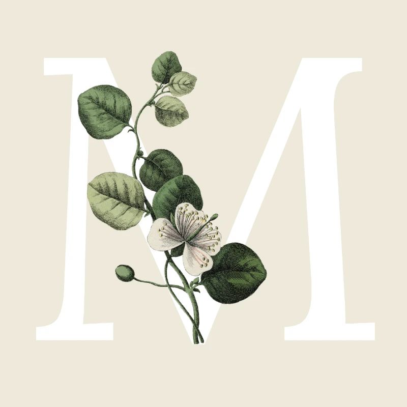 lettre m botanique vert