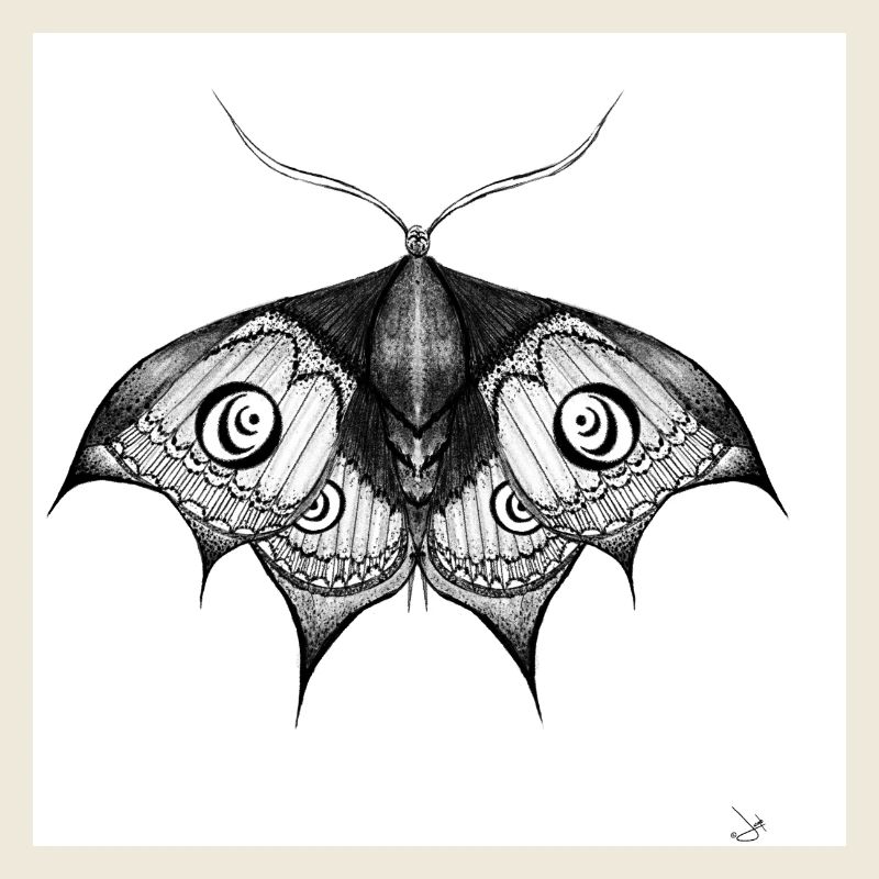 Grain d’encre noir