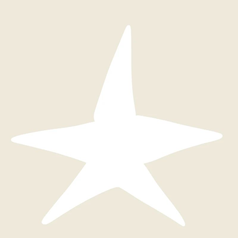 Symbole Étoile Forme Nuit