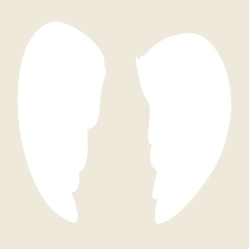 Ailes Ange Symbole Forme