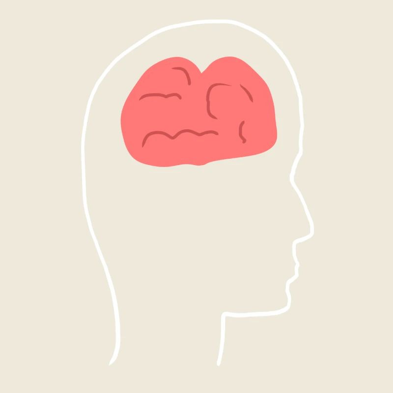 Head Profile People Side Brain Form