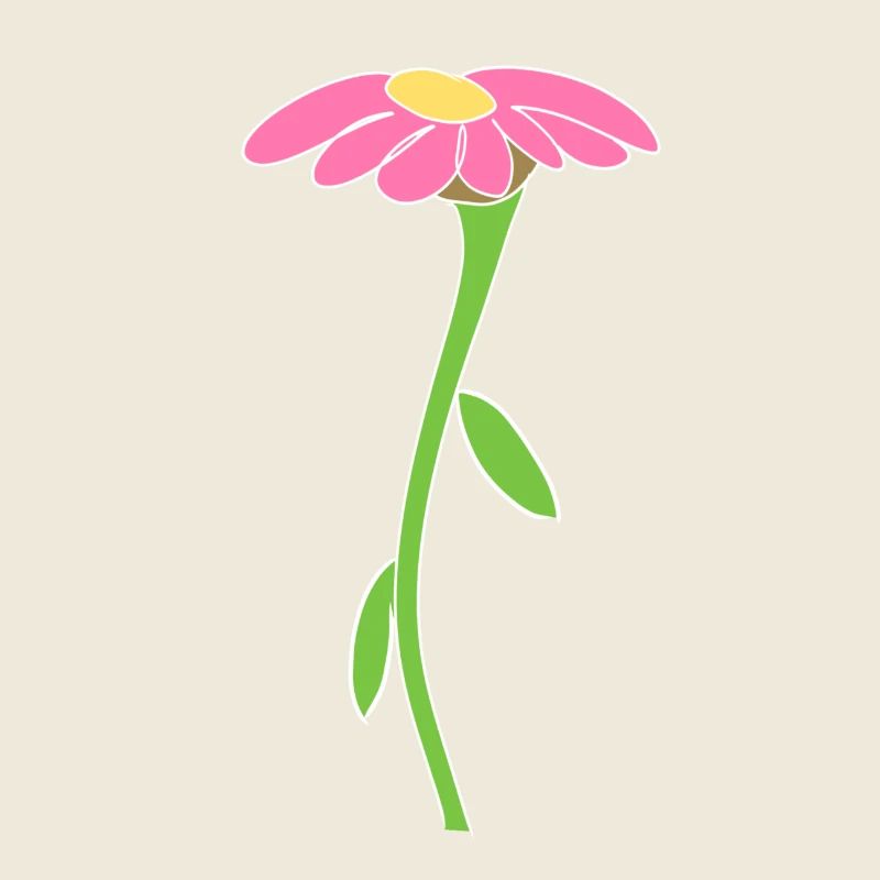 Blume Symbol Blüte Pflanze rosa