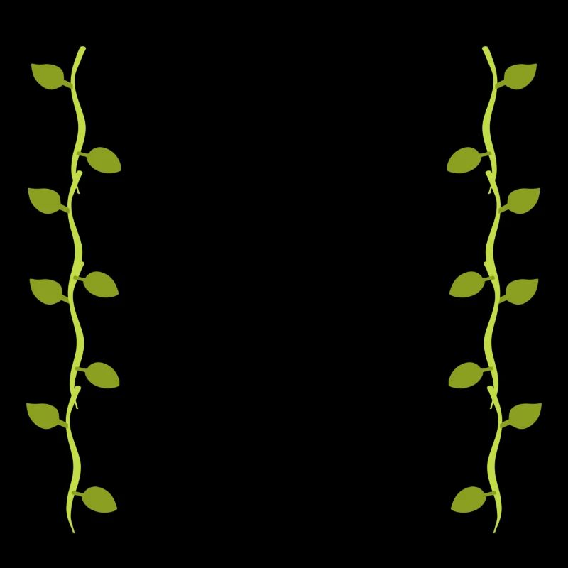 Feuilles Ligne Nature Branches de feuilles