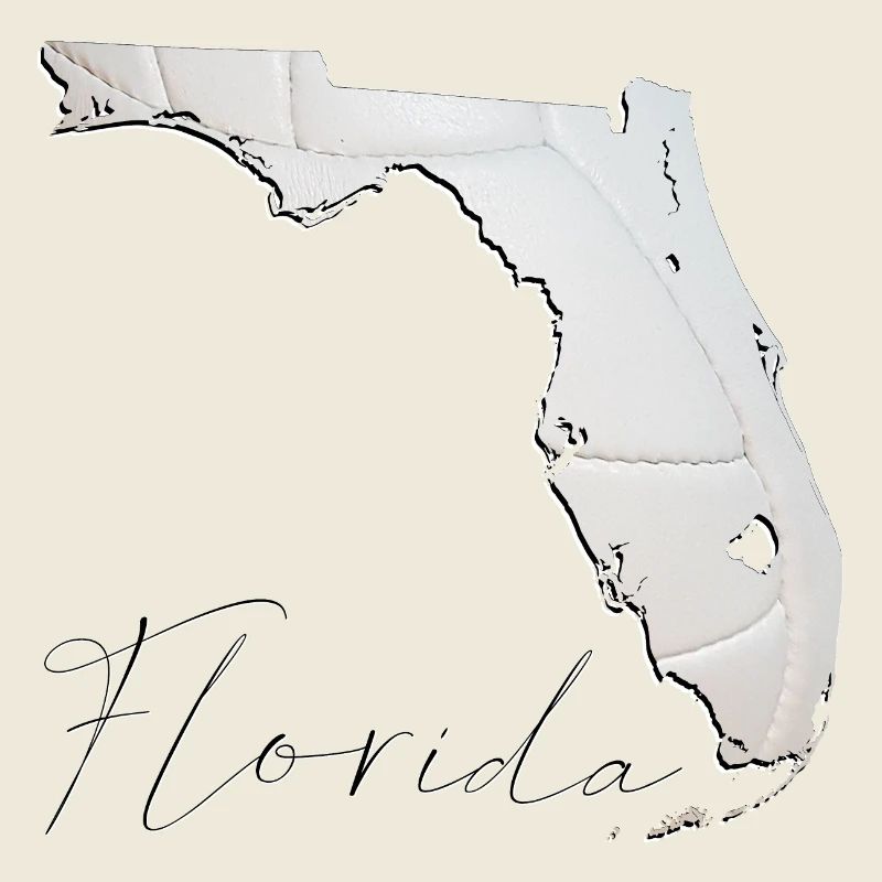 Real Volleyball in Florida State Map FL