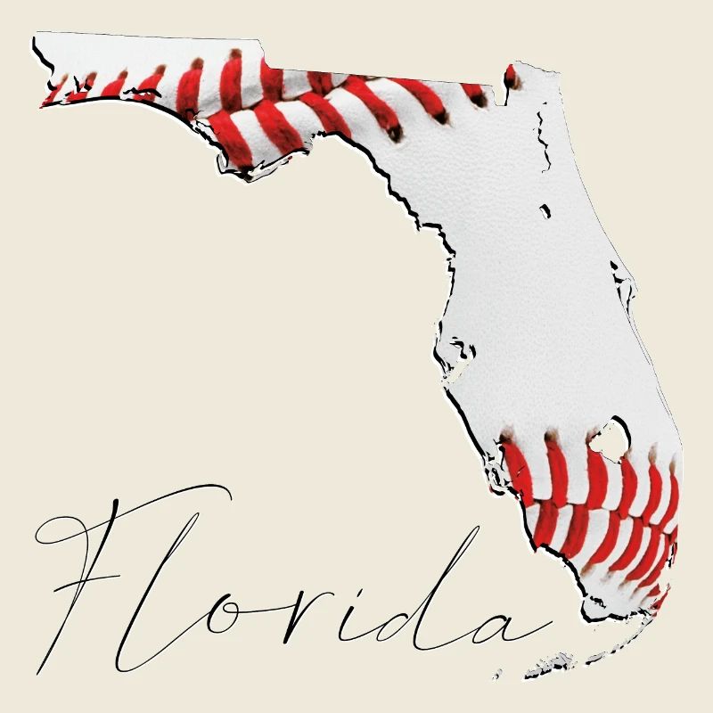 Real Baseball in Florida State Map FL
