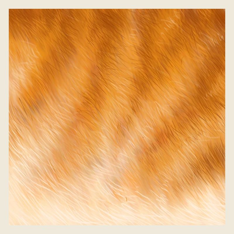 Fourrure de chat rouge