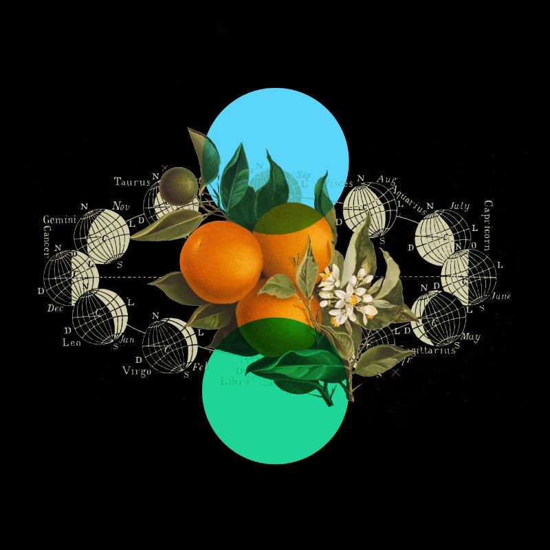 Orange cycle