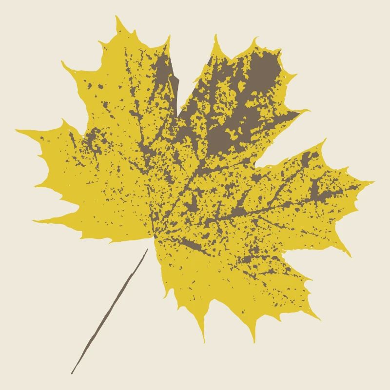 Yellow maple leaf