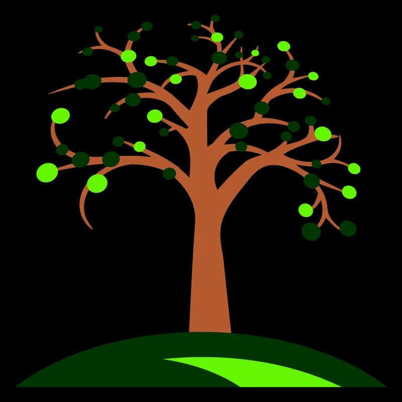 arbre belles feuilles nature forêt arbre silhouette