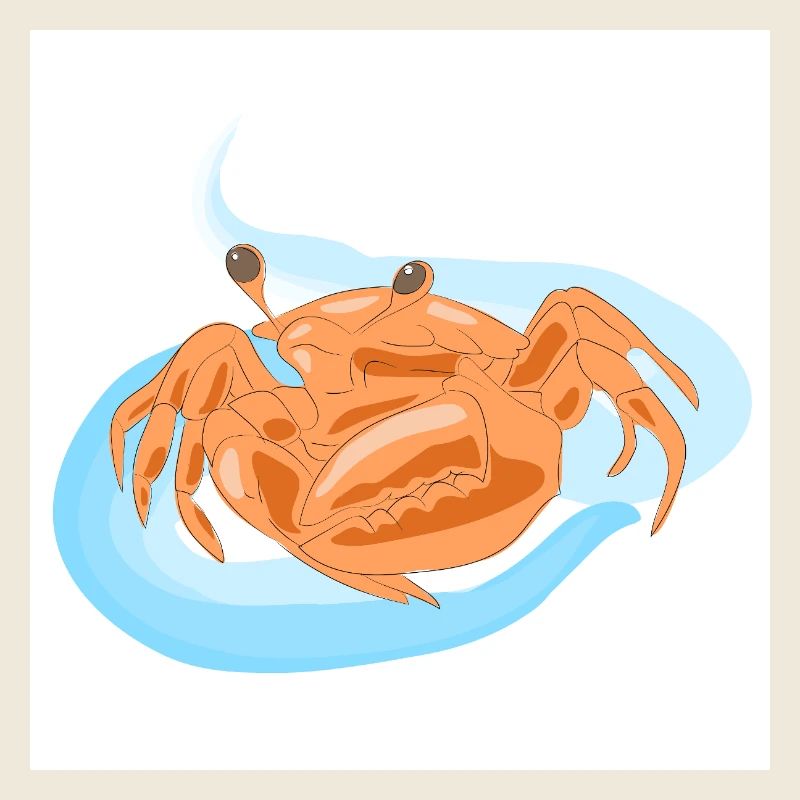 Orangen-Strandkrabbe