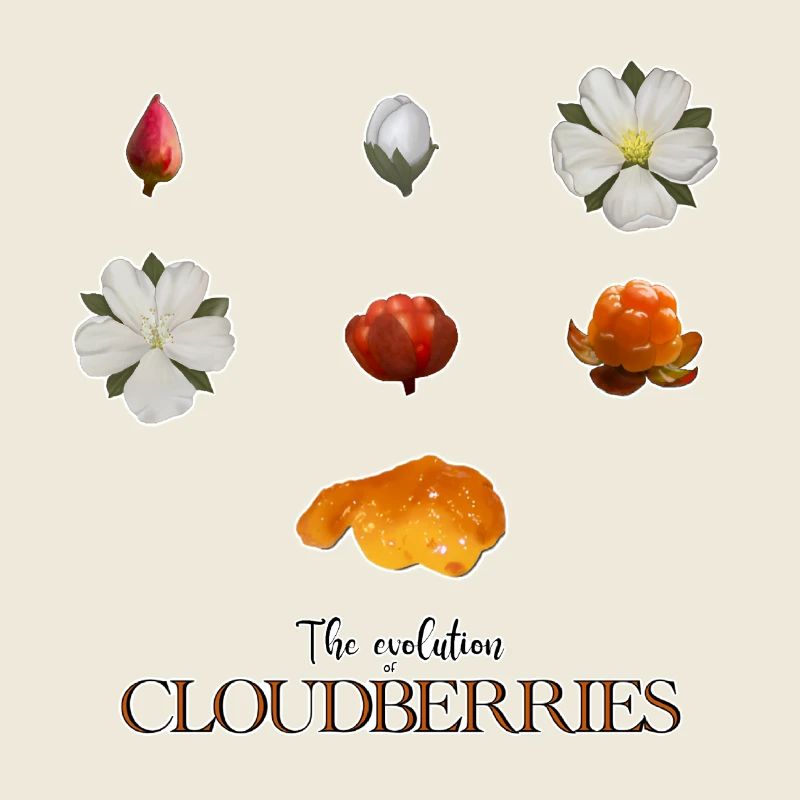 The Evolution of Cloudberries
