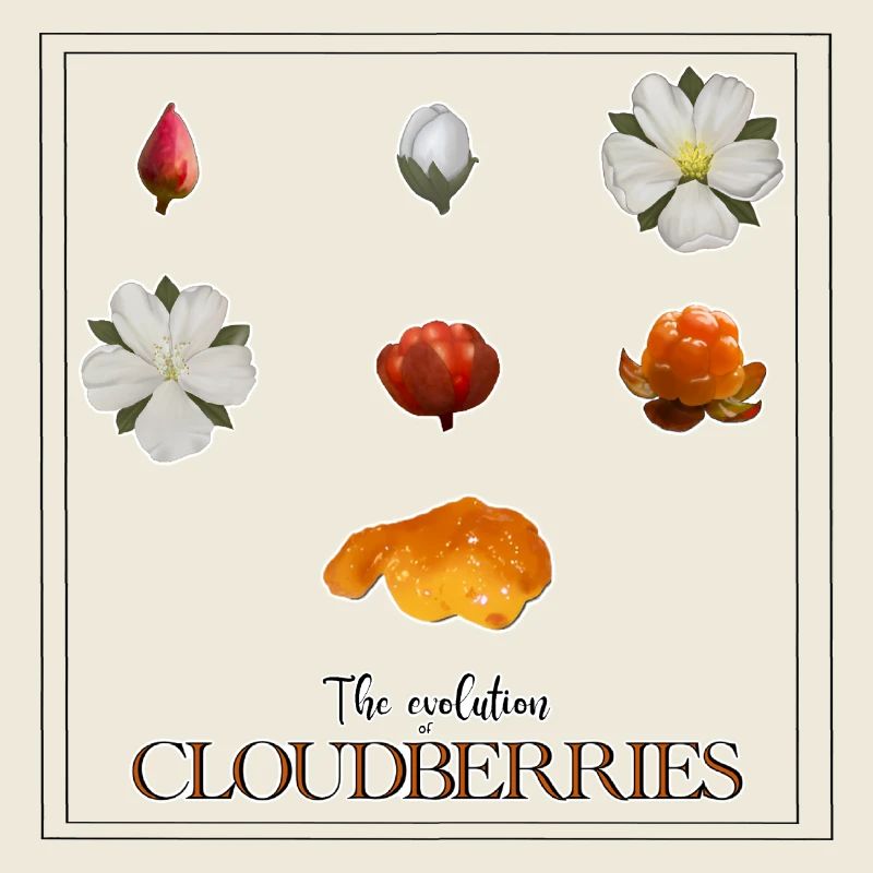 Die Evolution der Moltebeeren, mit Rahmen