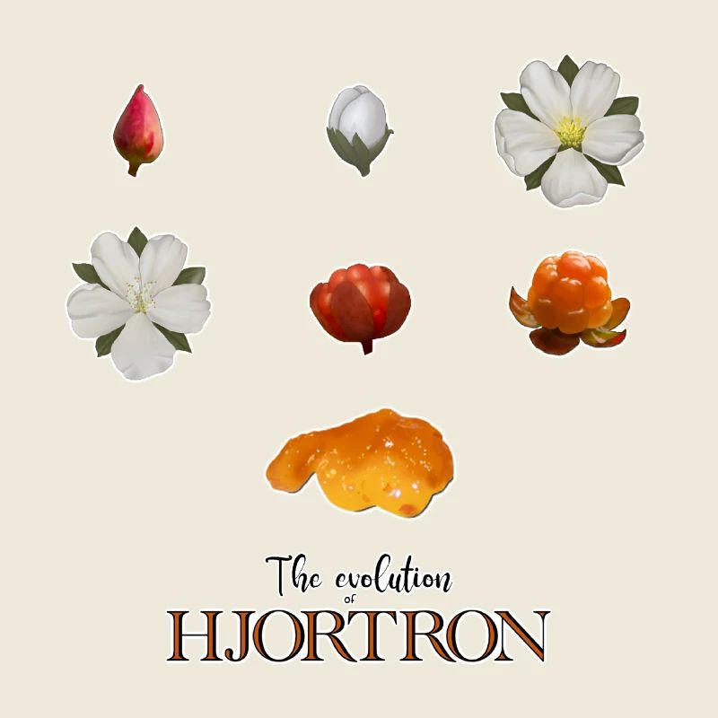 Die Evolution der Moltebeeren