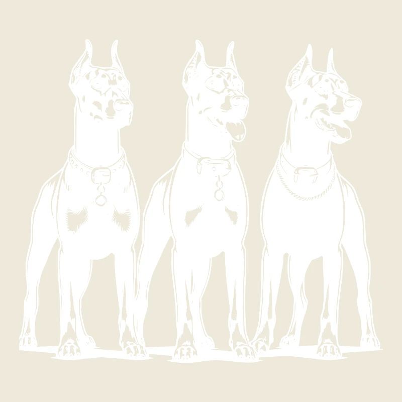 Drei schlaue wachsame Dobermänner Hunde