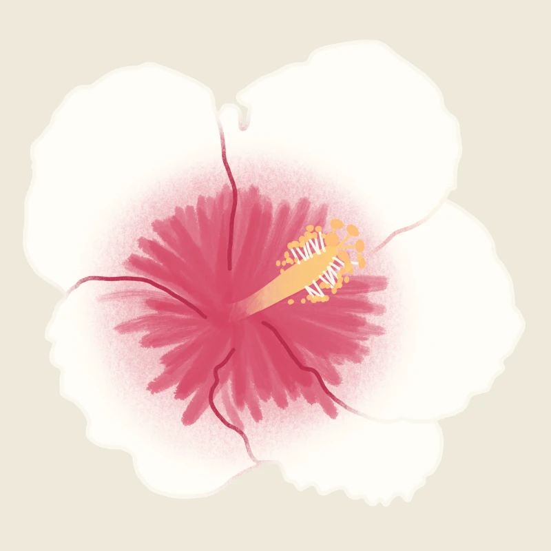 hibiscus flower