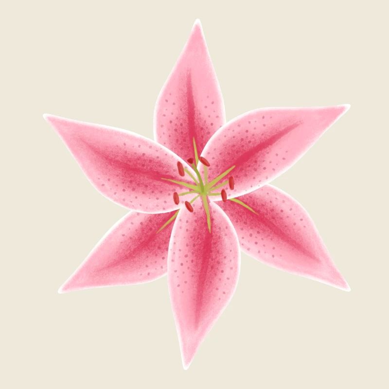 fleur de lys rose et blanche