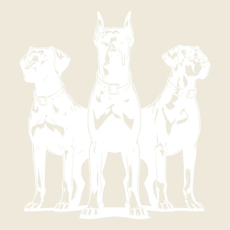 Drei elegante wachsame Wachhunde auf Posten