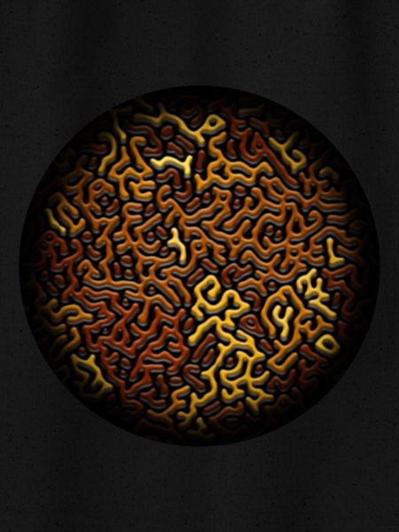Turing Pattern