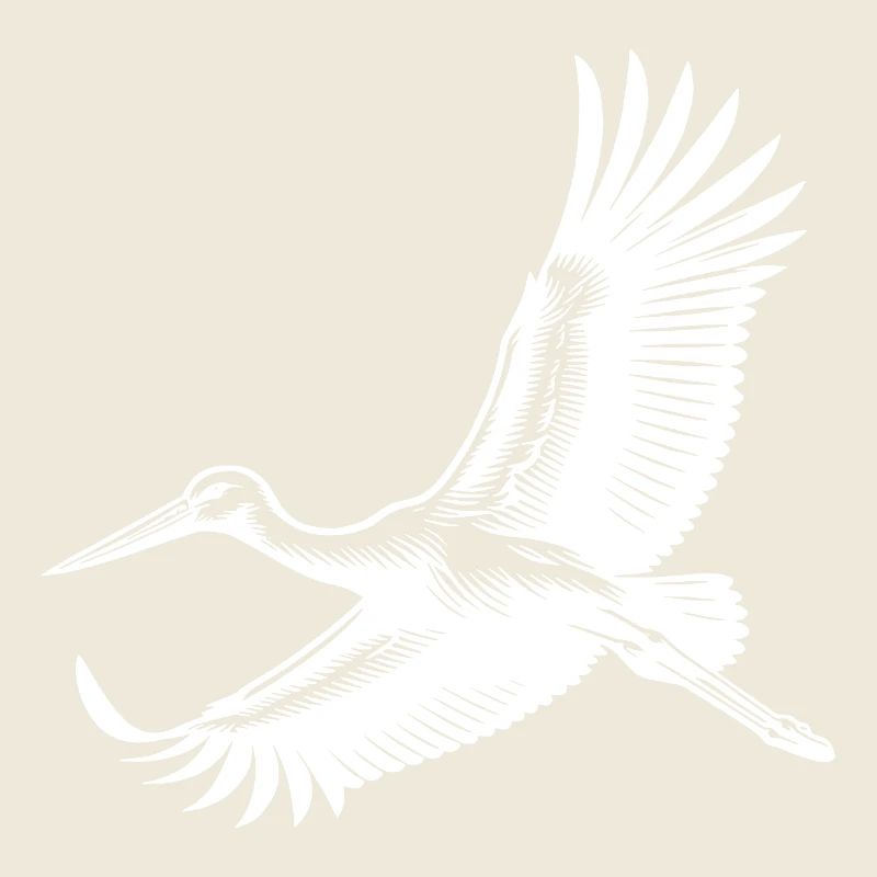 Eleganter Storchen Vogel im Flug