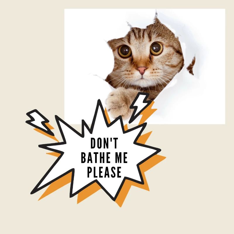 Don't bathe me cat